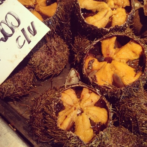 Erizos de mar chilenos como puños de grandes .. #oricios #pescadería #oceano #pacífico #chile (en Mercado Central de Santiago)