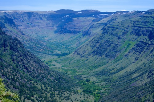 thealy50:Blitzen Gorge, Steens Mountain, Oregon.Classic U-shaped glacial valley cutting right across