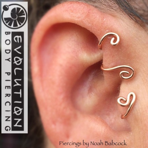 Two healed #forwardhelix piercings and a healed #tragus piercing with #rosegold jewelry by #evolutio
