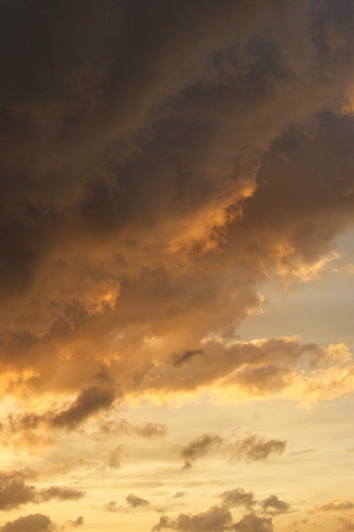cobvlt:  sunset in hong kong by me 