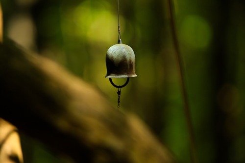 &ldquo;La forêt des murmures&rdquo; que je rêvais de découvrir depuis que