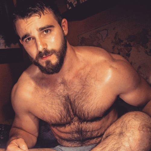 hairy-chests: