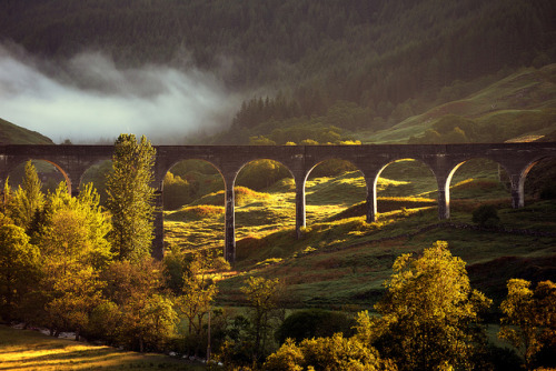 scotianostra:Good Morning from ScotlandDawn sunlight and mist at Glenfinnan Viaduct by iancowe on Fl