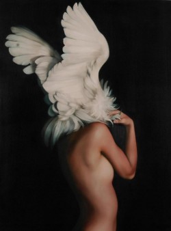 taxidermy-in-art:© Amy Judd, Noble Wings