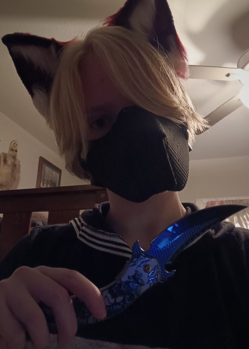 Reblog If You'd Let This Silly Pup Rant To You About His Favorite Knives.