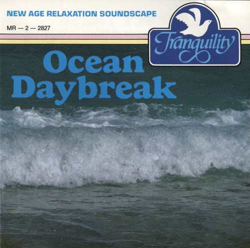 altered-statuses: Ocean Daybreak “With every ebb, tide and flicker of dancing sunlight, whispe