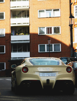 Premium Elegance.