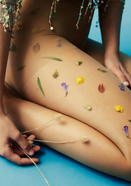 misterdoor-reloaded:  C.  Makintosh