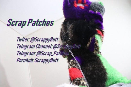 scrapthemurrsuit:Was fun being here, sad to say farewell. Hope to see all you wonderful creatures on