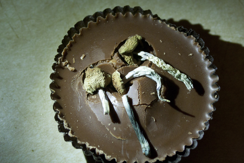 darksideoftheshroom:  perfect combo