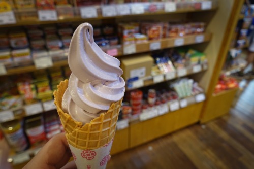 6/26 - beni-imo soft serve, Okinawa Washita Shop (Tokyo)
