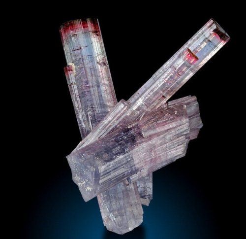 geologyin-blog: Stunning Tourmaline crystals from Cruzeiro Mine, Doce Valley, Minas Gerais, Brazil P