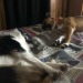 Sleepy babies 🥰😍