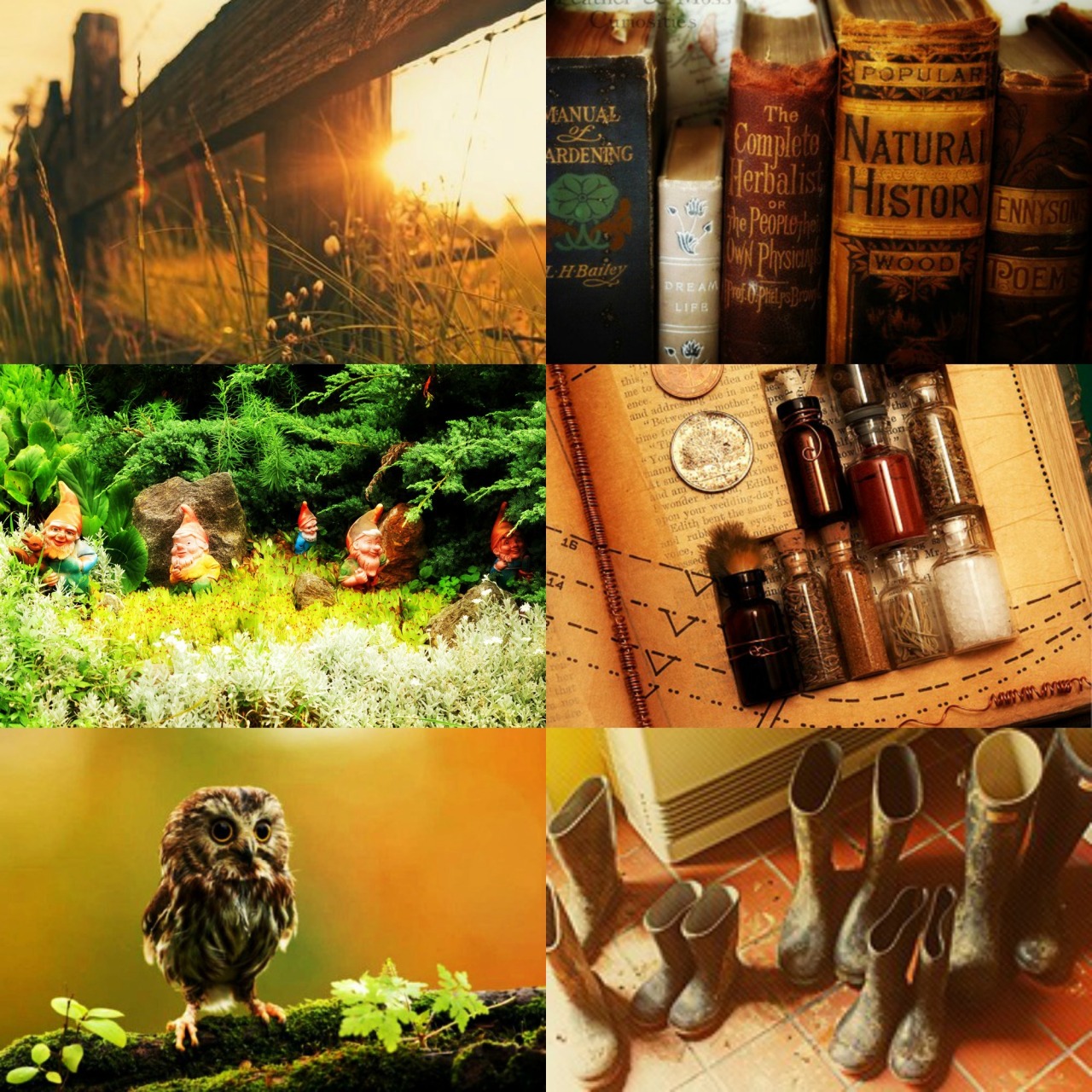 HP Aesthetics : The Burrow