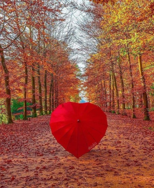 L'inizio Di Un Giorno Normale, Ma Sempre Un Giorno Speciale Se Possiamo Ancora Vedere I Colori, Sentire