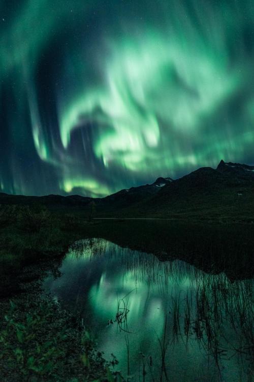 amazinglybeautifulphotography:A lucky aurora outburst 5minutes after arriving. Kvaløya, Norwa