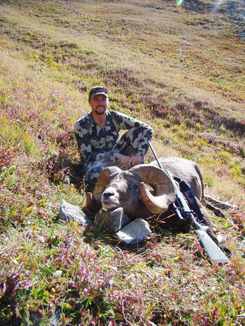 JT Dufva’s awesome Colorado Bighorn Sheep