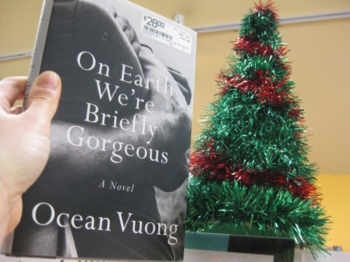 Best of the Year: ON EARTH WE’RE BRIEFLY GORGEOUS by Ocean Vuong is Caitlin’s top novel!