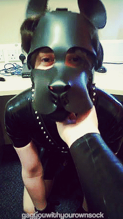 Sex gagyouwithyourownsock: Puppy boy.  Tricks pictures