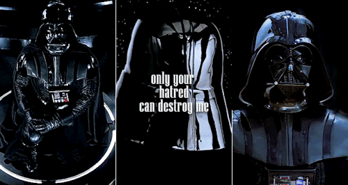 Disaster Lineage Appreciation Week ↝ Favorite Member