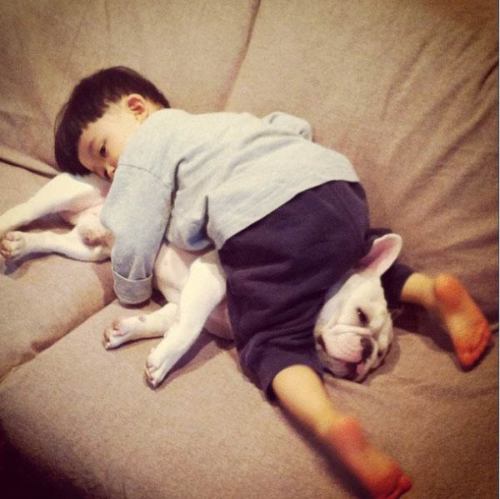 Cute Friendship Between Japanese Boy & His Bulldog