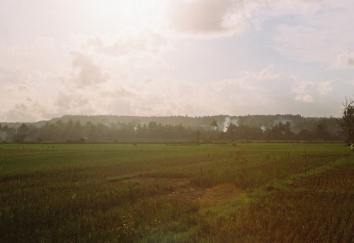 I see fire - Kodak Gold, Minolta Dynax 5000i - Yogyakarta, Indonesia - February 2018