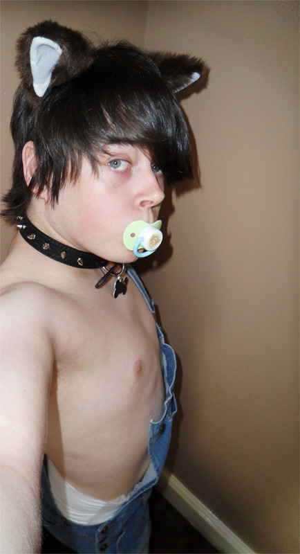 littletriforce:  padded-puppy:  First post of my new tumblr :3 Please follow guys