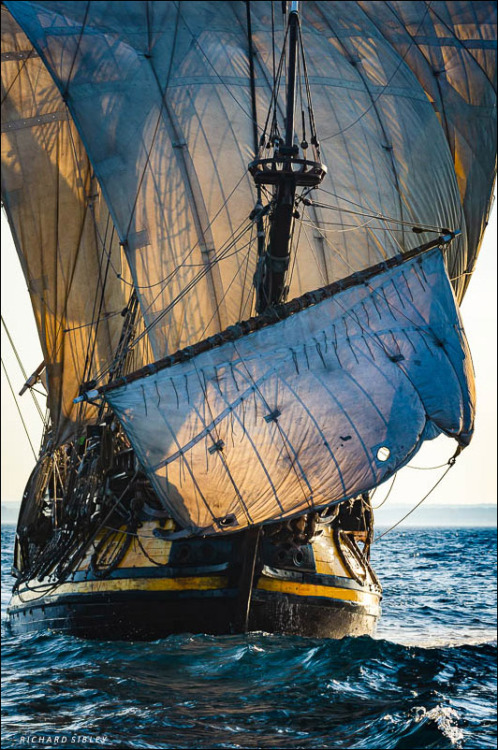 ltwilliammowett: The Shtandart at the Sunderland tall ship race, 2018