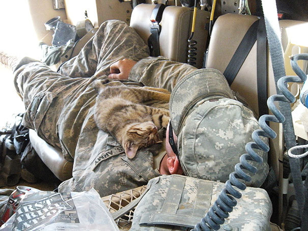 i-want-spankings:  ilovephilscock:  awesome-picz:  Soldiers And Pets Who Became Best