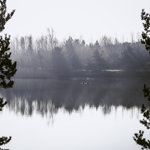 Newstead & Annesley Country Park, Nottinghamshire, England