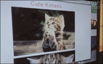 meow