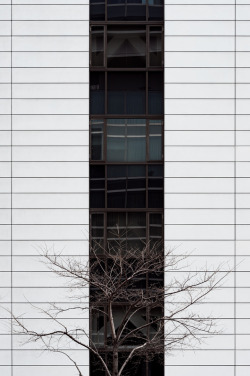 tokyostreetphoto:  Growth, Yaesu （八重洲）