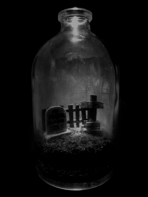 sunlight-on-skin:  ☂ Dark network☂ 