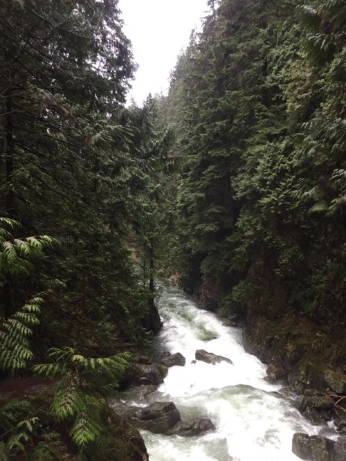 floralwaterwitch:Hiking around Twin Falls, British Columbia