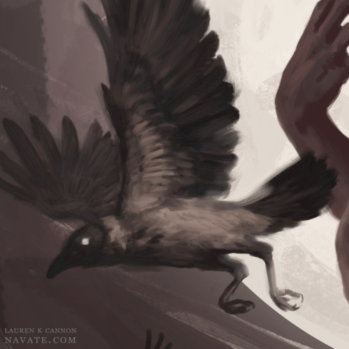 Getting back to work on this one! WIP. Hooded crows