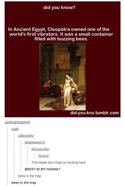Not Your Average Tumblr
