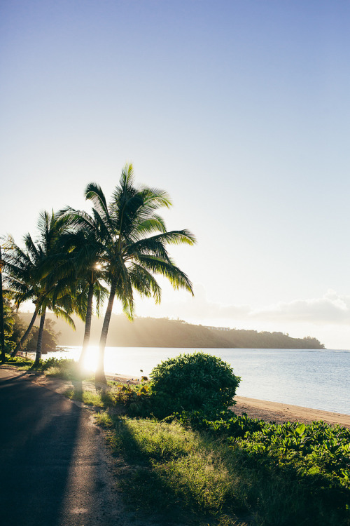 drxgonfly: Kauai (by Dylon York)