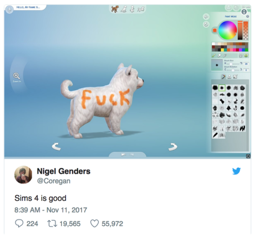 buzzfeed: People Should Never Have Been Allowed To Build Pets On “The Sims 4”