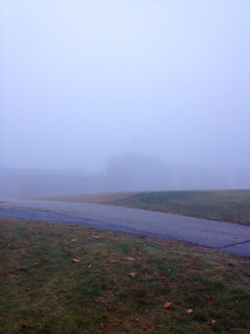 bonusocean:this morning i woke up very early and outside was foggy + nice