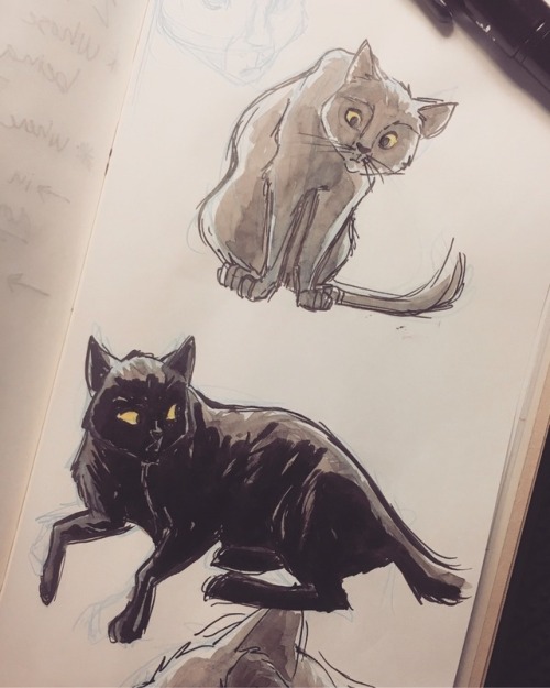 I’ve been posting more frequently on Instagram, so here are a couple of recent Inktober drawings all