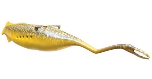 Illinois State Fossil - Tully Monster (Tullimonstrum gregarium)In 1955, a fossil hunter by the name 