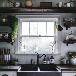 birdasaurus:  Eva Kosmas Flores