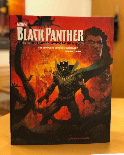 Black Panther The Illustrated History of A King By Dennis Culver  Cover by Denys Cowan,Bill Sienkiew