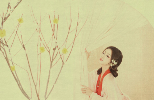 Antique-painting-style photography of Chinese beauties in hanfu ( cr: ziphoto)