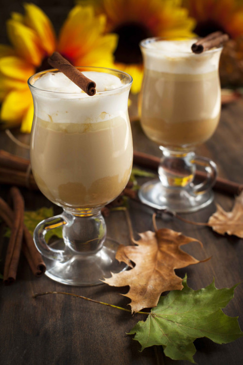 delectabledelight:Pumpkin spice latte with whipped cream and caramel (by Anjelagr)