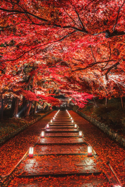 mstrkrftz:  Dye it Red by Takahiro Bessho 