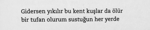 alaveredalavereisler:  “Gidersen yıkılır bu kent kuşlar da ölür bir tufan olurum sustuğun her yerde”