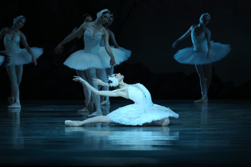 galina-ulanova:Oksana Skorik as Odette in Swan Lake (Mariinsky Ballet)