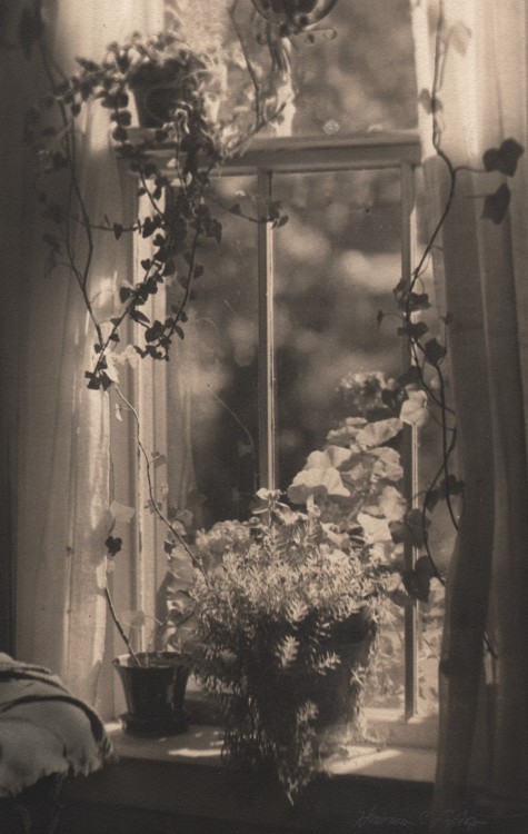 rivesveronique: Detail: “The Winter Garden” Hermann Charles Lythgoe (1874-1962), American: vintage u