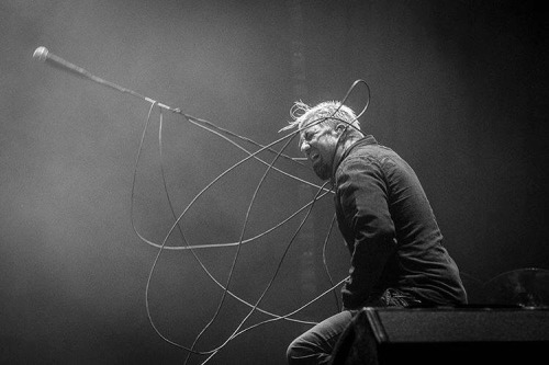 CHINO MORENO